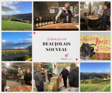 le Beaujolais